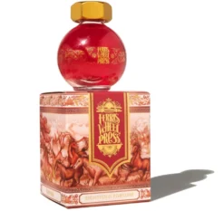 Atrament FerriTales Limited Edition - Ferris Wheel Press - Eightfold Fortune 20 ml