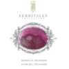 Atrament FerriTales The Book of Knights - Ferris Wheel Press - Bloom of Ascension 20 ml