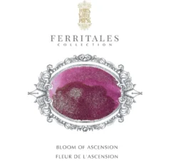 Atrament FerriTales The Book of Knights - Ferris Wheel Press - Bloom of Ascension 20 ml