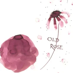 Atrament Ink-Cafe Art Noveau - Kuretake - Old Rose, 21 ml