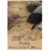 Blok do akryli i oleju Start Pad Painting - SM-LT - biały, A4, 300 g, 20 ark.
