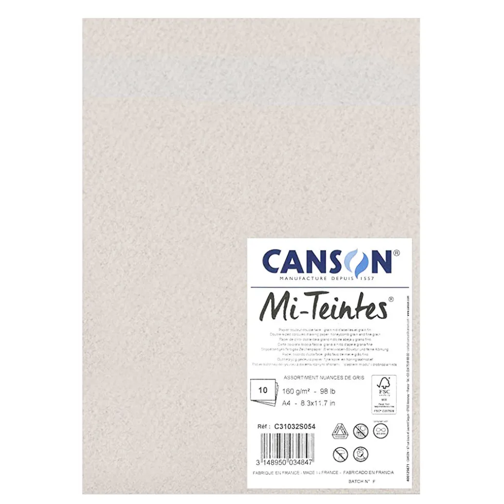 Blok do pasteli Mi-Teintes - Canson - odcienie szarości, A4, 160 g, 10 ark.