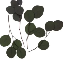 Eukaliptus Populus - DpCraft - zielony, 20 cm, 4 szt.