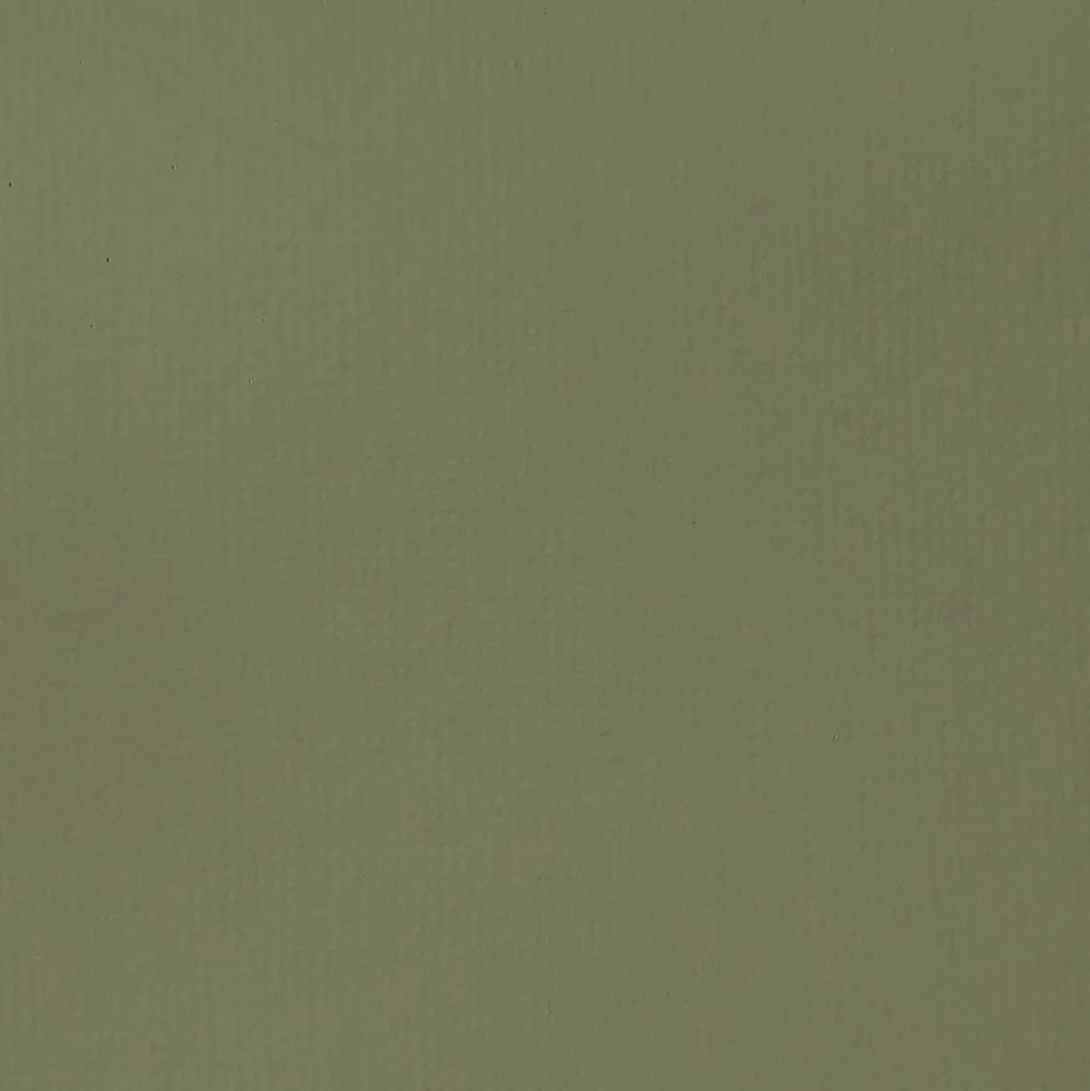 Farba akrylowa Basics Acrylic - Liquitex - 205, Green Gray, 118 ml