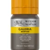 Farba akrylowa Galeria - Winsor & Newton - 076, Burnt Umber, 250 ml