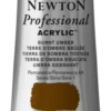Farba akrylowa Professional Acrylic - Winsor & Newton - Burnt Umber, 60 ml