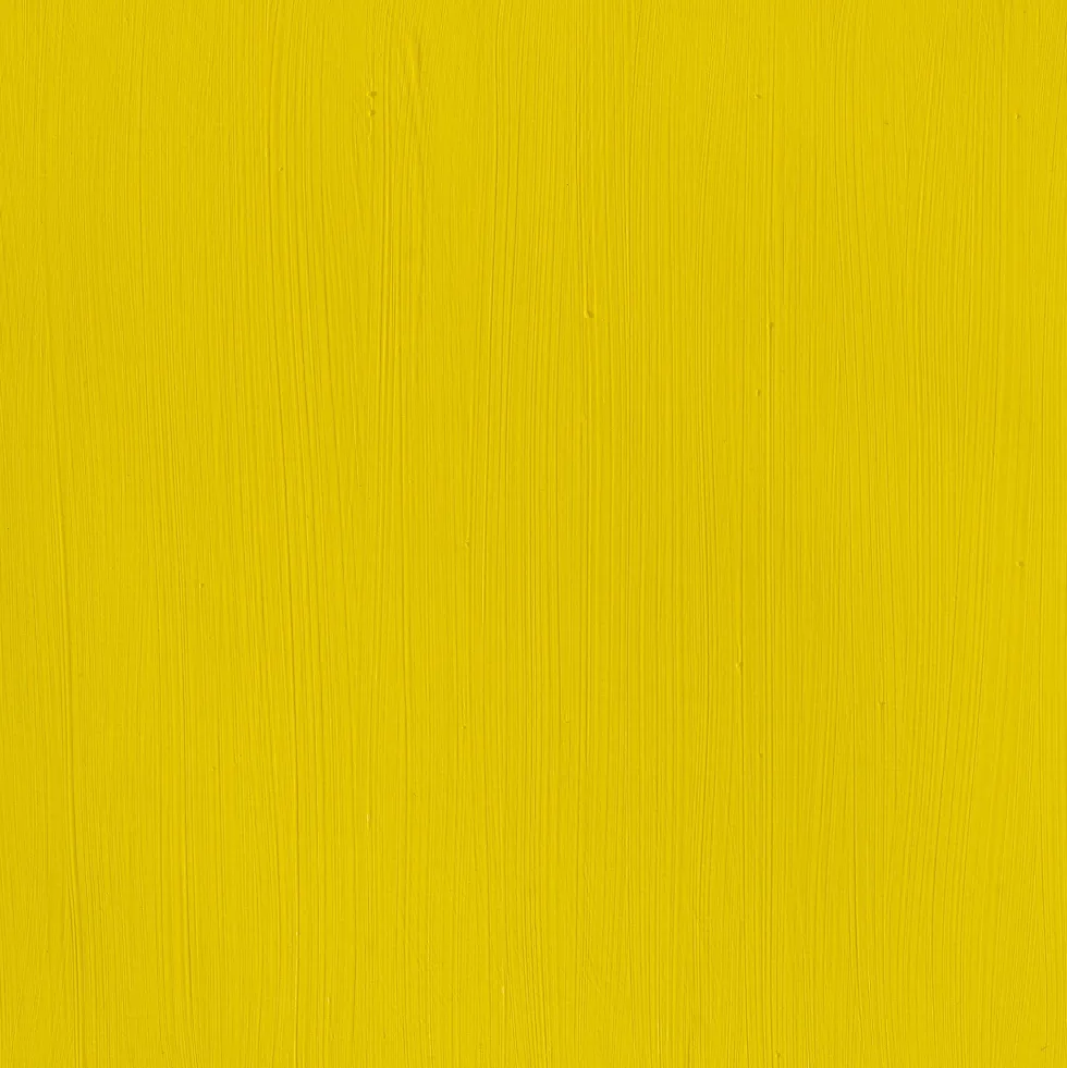 Farba akrylowa Professional Acrylic - Winsor & Newton - Cadmium Yellow Light, 60 ml
