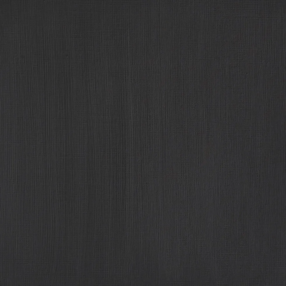 Farba akrylowa Professional Acrylic - Winsor & Newton - Graphite Grey, 60 ml