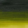 Farba akrylowa Professional Acrylic - Winsor & Newton - Permanent Sap Green, 60 ml