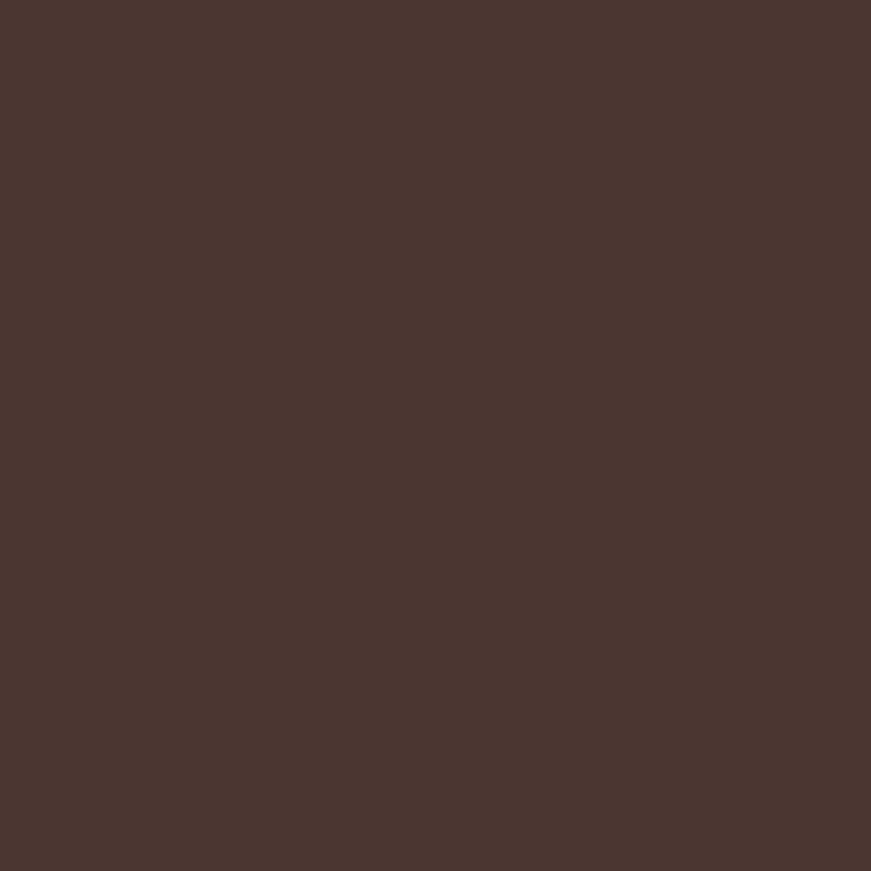 Farba akrylowa - Talens Art Creation - Burnt Sienna 750 ml