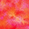 Farba akwarelowa Artists’ Watercolor - Holbein - Bourke's Parrot Pink, 5 ml