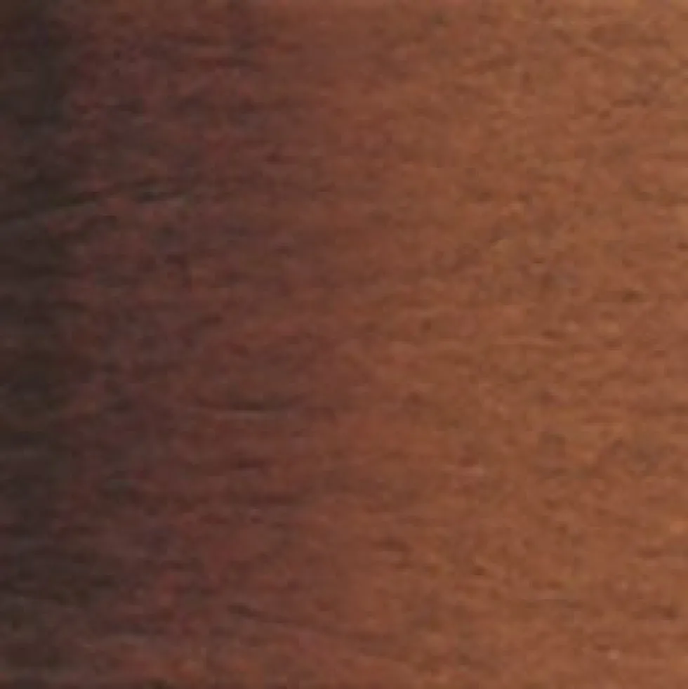 Farba akwarelowa Artists’ Watercolor - Holbein - Burnt Umber, 5 ml