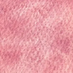 Farba akwarelowa Artists’ Watercolor - Holbein - Cherry Blossom Pink, 5 ml