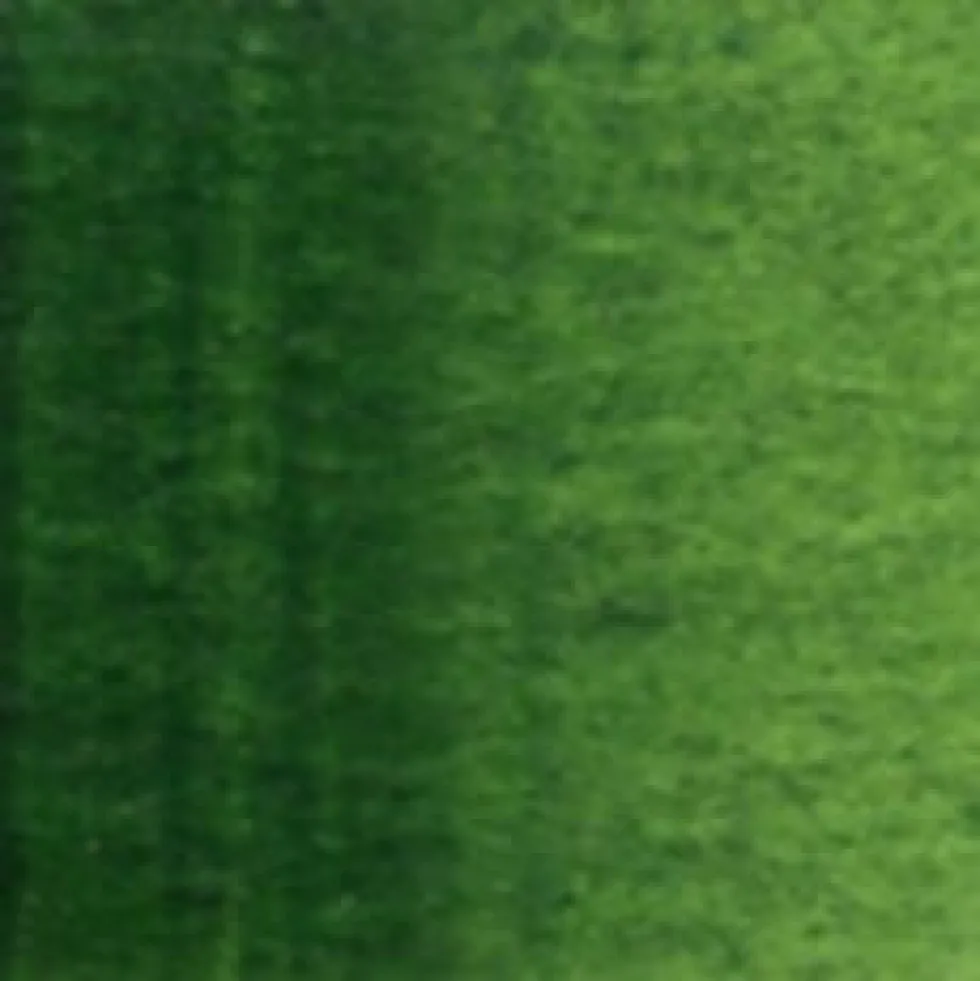 Farba akwarelowa Artists’ Watercolor - Holbein - Sap Green, 5 ml