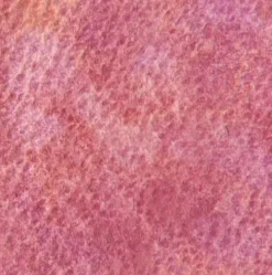 Farba akwarelowa Artists’ Watercolor - Holbein - Twilight Purple, 5 ml