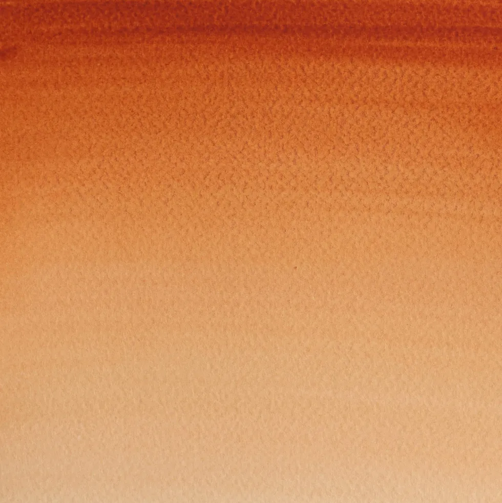 Farba akwarelowa Cotman - Winsor & Newton - Burnt Sienna, półkostka