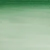 Farba akwarelowa Cotman - Winsor & Newton - Hooker's Green Dark, półkostka