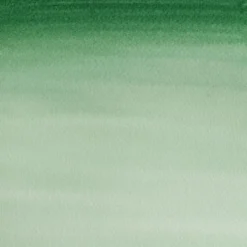 Farba akwarelowa Cotman - Winsor & Newton - Hooker's Green Dark, półkostka