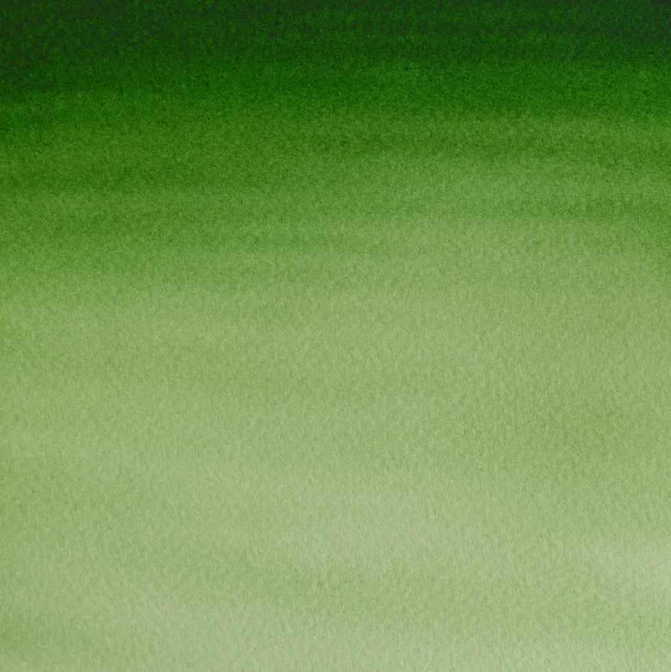 Farba akwarelowa Cotman - Winsor & Newton - Hooker's Green Light, półkostka