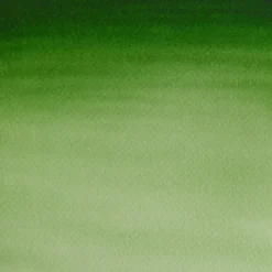 Farba akwarelowa Cotman - Winsor & Newton - Hooker's Green Light, 8 ml