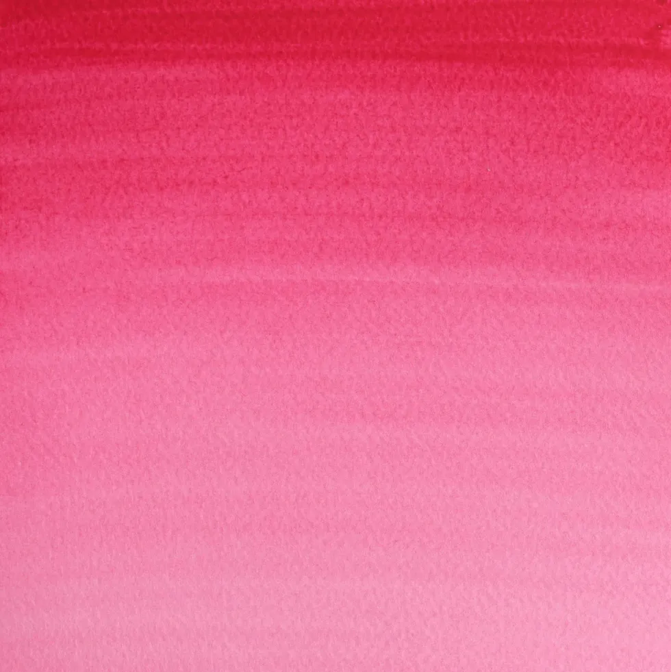 Farba akwarelowa Cotman - Winsor & Newton - Permanent Rose, 8 ml
