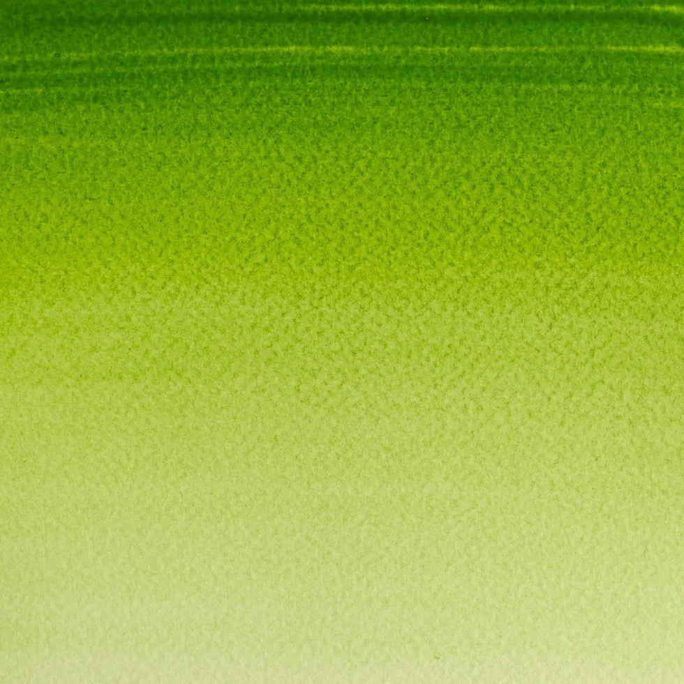 Farba akwarelowa Cotman - Winsor & Newton - Sap Green, 8 ml