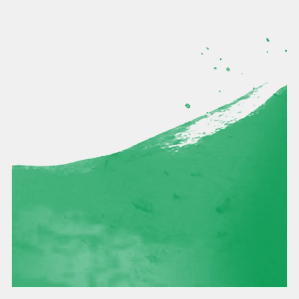 Farba akwarelowa Ecoline - Talens - Forest Green, 30 ml
