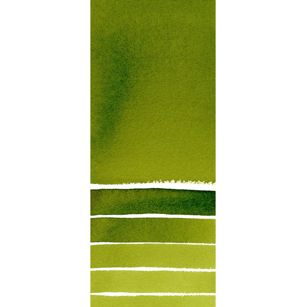 Farba akwarelowa Extra Fine w półkostce - Daniel Smith - Sap Green