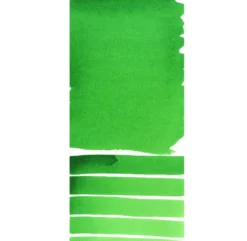 Farba akwarelowa Extra Fine w sztyfcie - Daniel Smith - Permanent Green Light