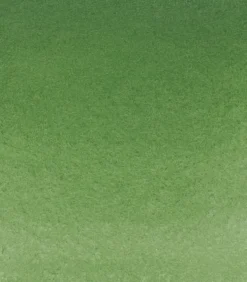 Farba akwarelowa Horadam Aquarell - Schmincke - 512, Chromium Oxide Green