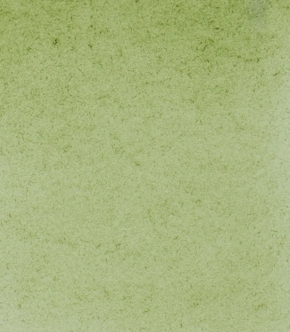 Farba akwarelowa Horadam Aquarell - Schmincke - 516, Green Earth