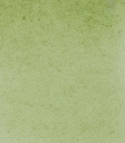 Farba akwarelowa Horadam Aquarell - Schmincke - 516, Green Earth, 5 ml