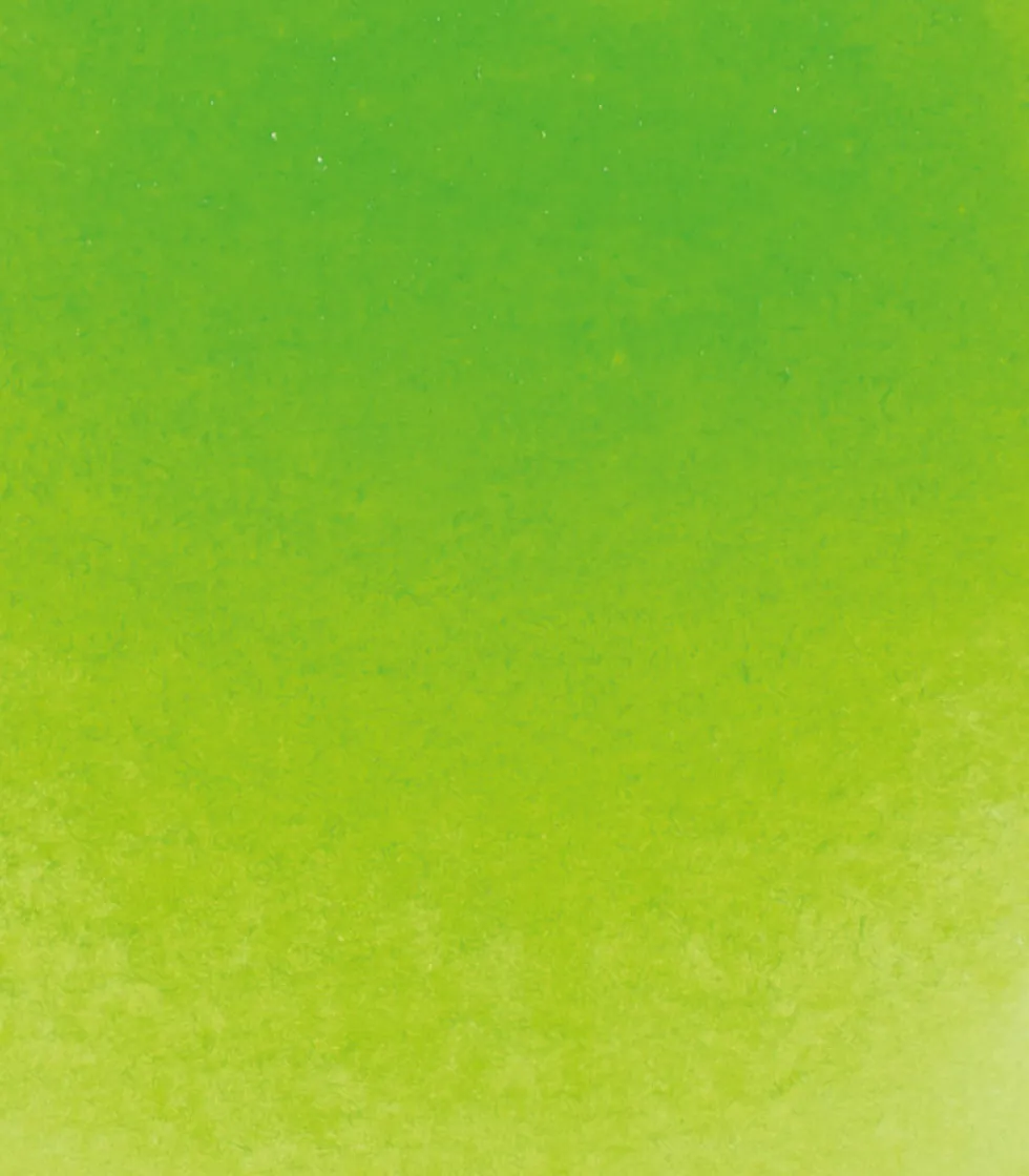Farba akwarelowa Horadam Aquarell - Schmincke - 524, May Green