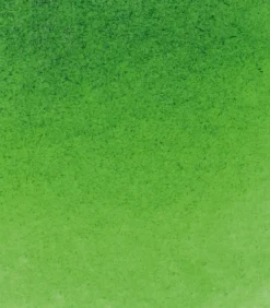 Farba akwarelowa Horadam Aquarell - Schmincke - 530, Sap Green