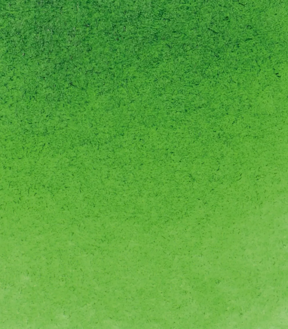Farba akwarelowa Horadam Aquarell - Schmincke - 530, Sap Green, 5 ml
