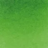 Farba akwarelowa Horadam Aquarell - Schmincke - 530, Sap Green, 15 ml