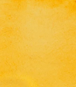 Farba akwarelowa Horadam Aquarell - Schmincke - 657, Transparent Ochre