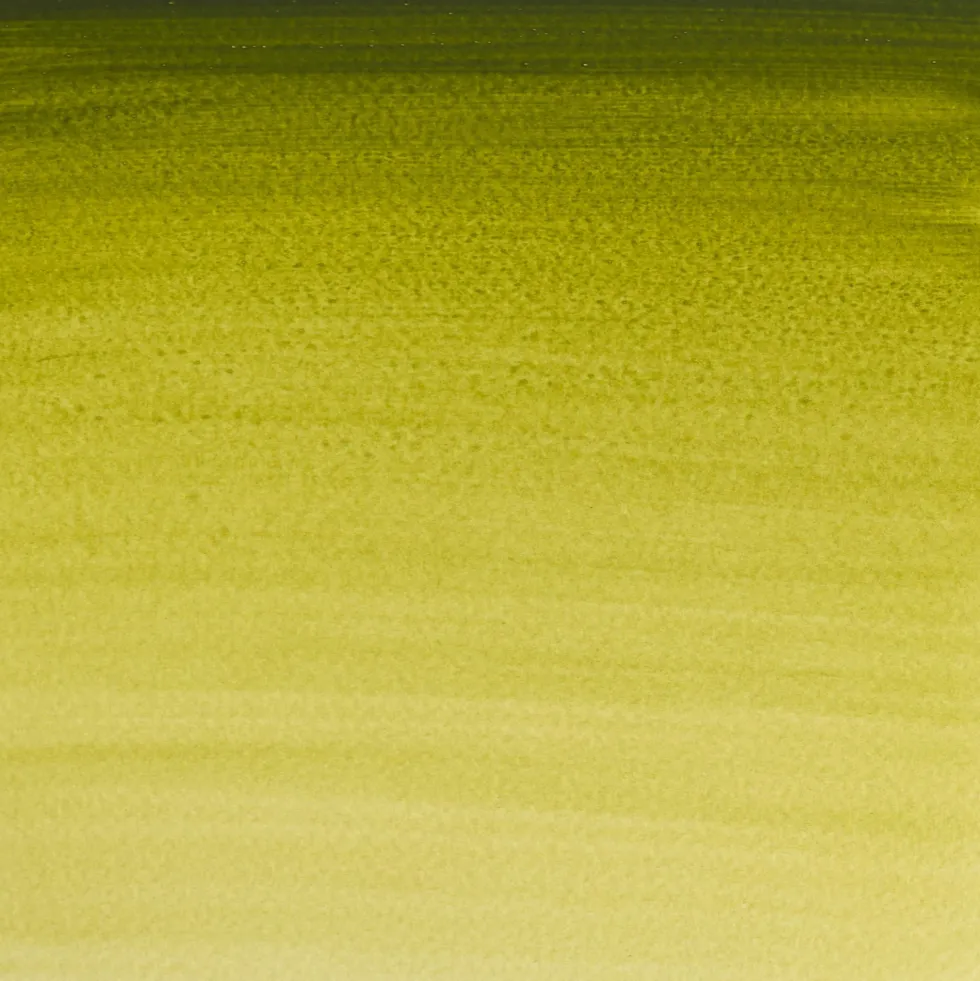 Farba akwarelowa Professional Watercolour - Winsor & Newton - Brown Ochre, 5 ml