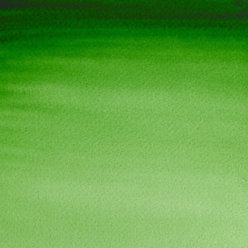 Farba akwarelowa Professional Watercolour - Winsor & Newton - Hooker's Green, 5 ml