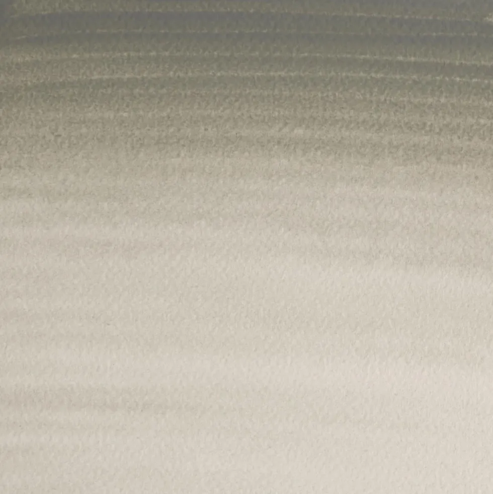 Farba akwarelowa Professional Watercolour - Winsor & Newton - Davy's Grey, 5 ml
