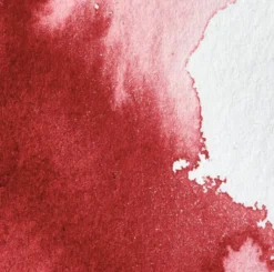 Farba akwarelowa Professional w półkostce - Winsor & Newton - Alizarin Crimson
