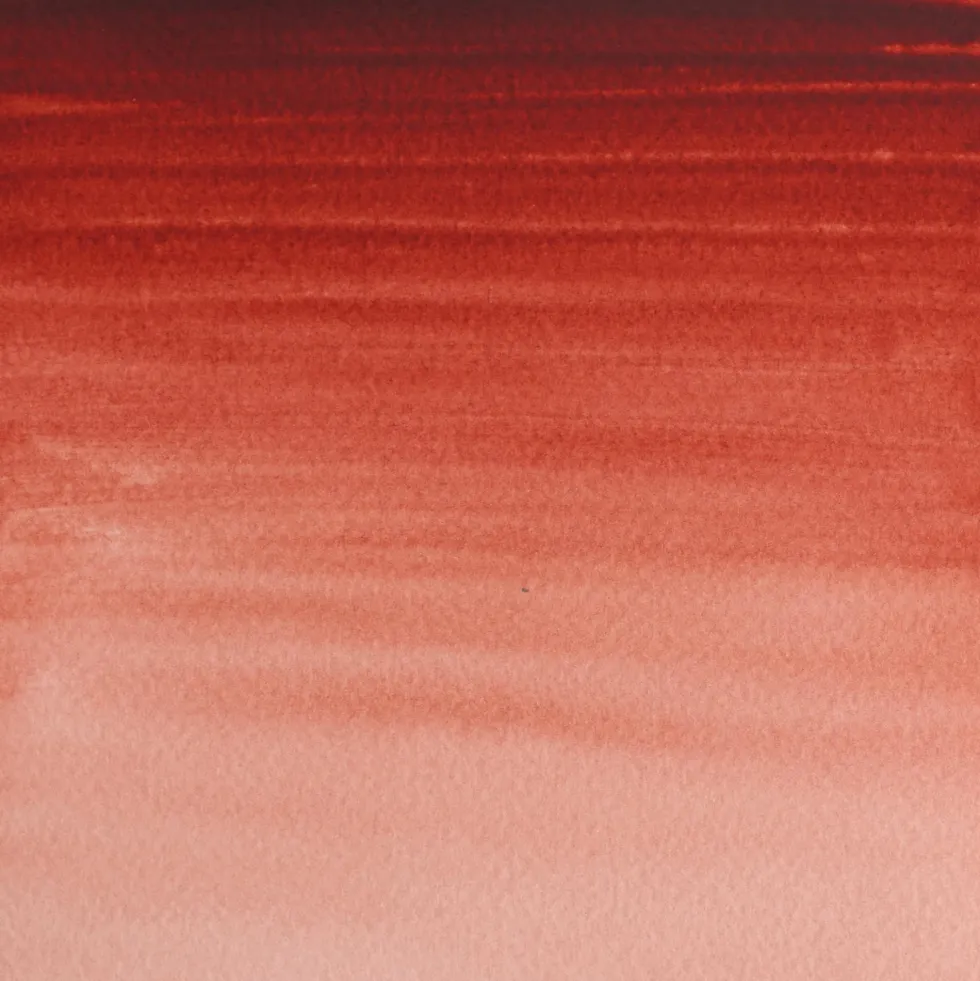 Farba akwarelowa Professional w półkostce - Winsor & Newton - Brown Madder