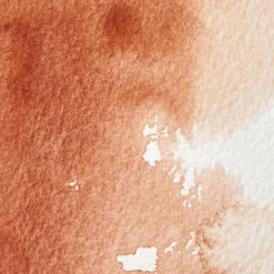 Farba akwarelowa Professional w półkostce - Winsor & Newton - Burnt Sienna