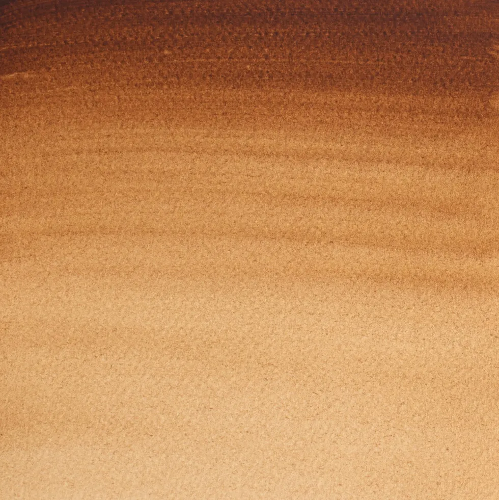 Farba akwarelowa Professional w półkostce - Winsor & Newton - Burnt Umber