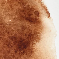 Farba akwarelowa Professional w półkostce - Winsor & Newton - Burnt Umber