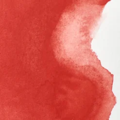 Farba akwarelowa Professional w półkostce - Winsor & Newton - Cadmium Free Red