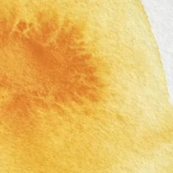 Farba akwarelowa Professional w półkostce - Winsor & Newton - Cadmium Yellow Deep