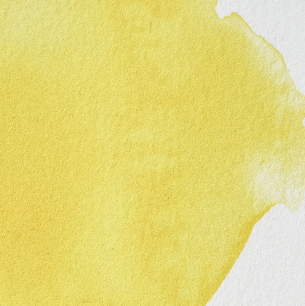 Farba akwarelowa Professional w półkostce - Winsor & Newton - Cadmium Lemon