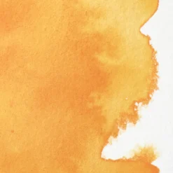 Farba akwarelowa Professional w półkostce - Winsor & Newton - Cadmium Free Yellow