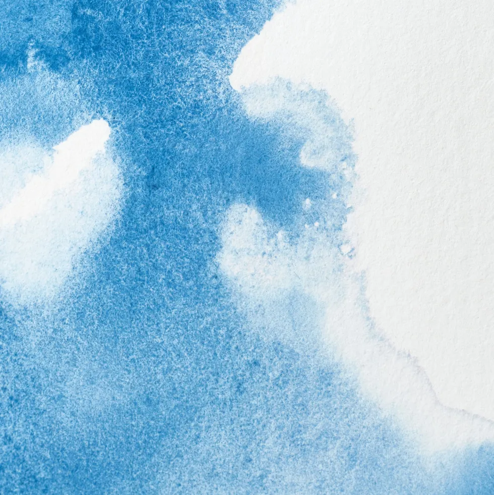 Farba akwarelowa Professional w półkostce - Winsor & Newton - Cerulean Blue